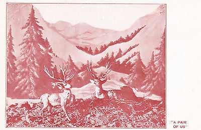 A Pair Of Us Deer Postcard - Cakcollectibles