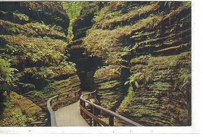 Moss Chamber in Cold Water Canyon, Wisconsin Dells, Winconsin - Cakcollectibles