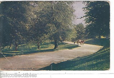 Roadway at Cherokee Park-Louisville,Kentucky 1908 - Cakcollectibles