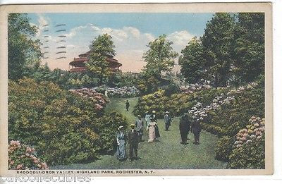 Rhododendron Valley,Highland Park-Rochester,New York 1915 - Cakcollectibles - 1