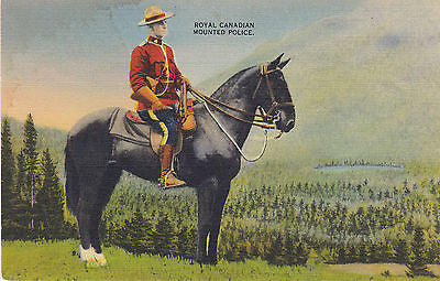 Royal Canadian Mounted Police In Canadian Forest Postcard - Cakcollectibles - 1
