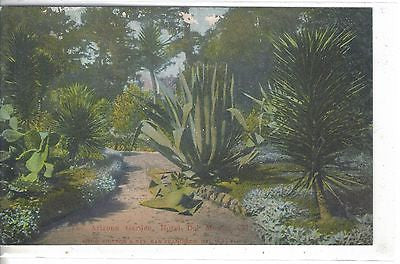 The Arizona Garden,Hotel Del Monte-California - Cakcollectibles