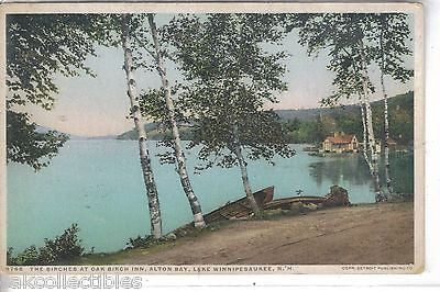 The Birches at Oak Birch Inn,Alton Bay-Lake Winnipesaukee,New Hampshire 1914 - Cakcollectibles