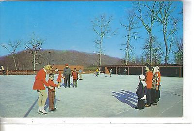 The Homestead Skating School, Hot Springs, Virginia - Cakcollectibles