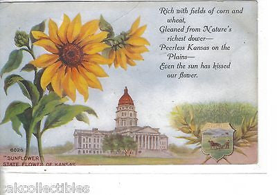 "Sunflower"-State Flower of Kansas 1908 - Cakcollectibles