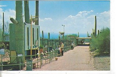 Water Street, Arizona - Sanora Desert Museum, Tuscon, Arizona - Cakcollectibles