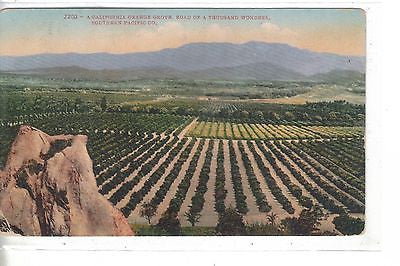 A California Orange Grove,Road of A Thousand Wonders-Southern Pacific Co. 1910 - Cakcollectibles
