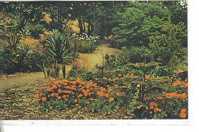 San Diego County's Quail Botanic Gardens, Encinitas, California - Cakcollectibles