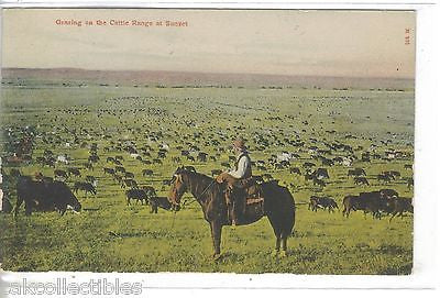 Grazing on The Cattle Range at Sunset - Cakcollectibles
