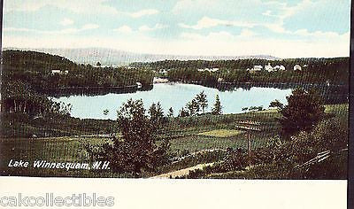 View of Lake Winnesquam-New Hampshire UDB - Cakcollectibles