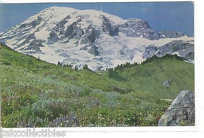 Mt. Rainier from the Slopes of Alta Vista-Washington - Cakcollectibles