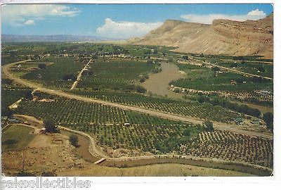 Aerial View of The Grand Valley-Colorado - Cakcollectibles