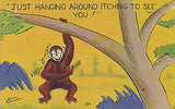 "Just Hanging Around Itching To See You !" Linen Comic Postcard - Cakcollectibles - 1