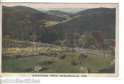 Greetings from Noblesville,Indiana - Cakcollectibles