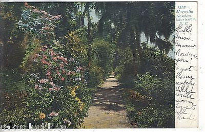 Magnolia Gardens-Charleston,South Carolina 1907 - Cakcollectibles