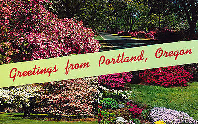 Greetings From Portland Oregon Postcard - Cakcollectibles