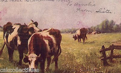 Early Post Card of Cows-1907 - Cakcollectibles