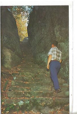 Indian Stairs at Rock City Park, Olean, N. Y. - Cakcollectibles