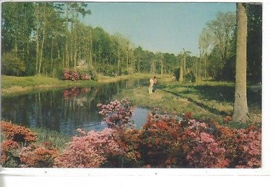 Lagoon At Beauvior, Jefferson Davis Shrine, Biloxi, Mississippi - Cakcollectibles
