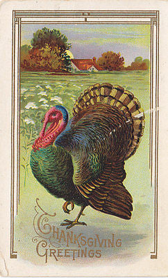 Thanksgiving Greetings Turkey Farm Sunset Holiday Postcard - Cakcollectibles - 1