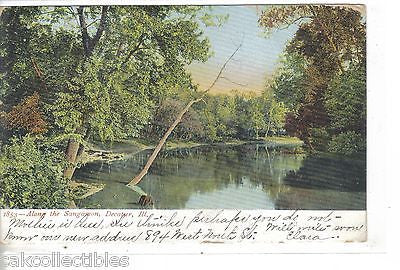 Along The Sangamon-Decatur,Illinois 1906 - Cakcollectibles