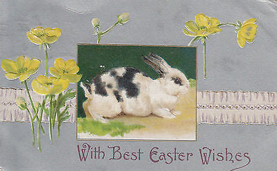 "With Best Easter Wishes" Bunny John Winsch Postcard - Cakcollectibles - 1