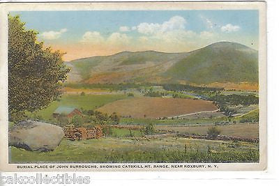 Burial Place of John Burroughs,showing Catskill Mt. Range near Roxbury,New York - Cakcollectibles