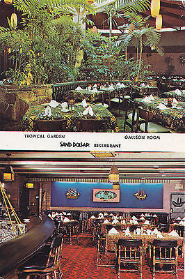 Sand Dollar Restaurant and Lounge St. Petersburg, Florida Postcard - Cakcollectibles - 1