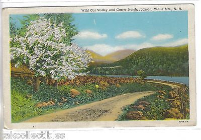 Wild Cat Valley and Carter Notch-Jackson,White Mts.,New Hampshire - Cakcollectibles