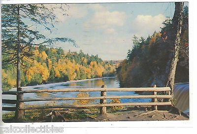 Looking Downstream from The Upper Tahquamenon Falls in Michigan's U.P. 1956 - Cakcollectibles