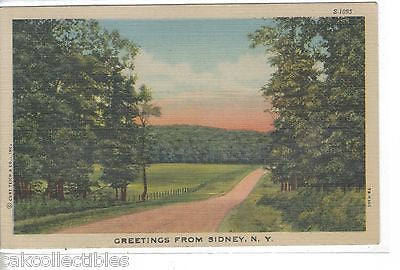 Greetings from Sidney,New York-Linen Post Card 1951 - Cakcollectibles