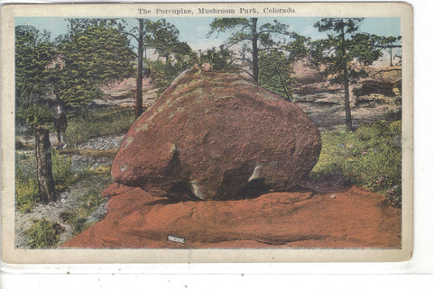 The Porcupine-Mushroom Park-Colorado Post Card - 1