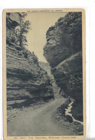 The Narrows-Williams Canon,Colorado Post Card - 1