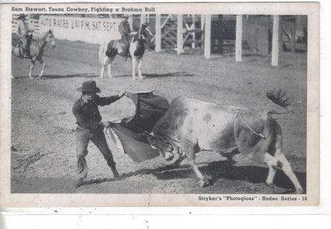 Sam Stewart,Texas Cowboy,Fighting a Brahma Bull Post Card - 1