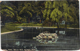 Seal Pond,Belle Isle-Detroit,Michigan 1909 Postcard Front
