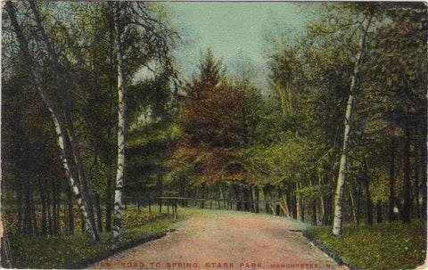 Road to Spring,Stark Park-Manchester,New Hampshire 1913 - Cakcollectibles - 1
