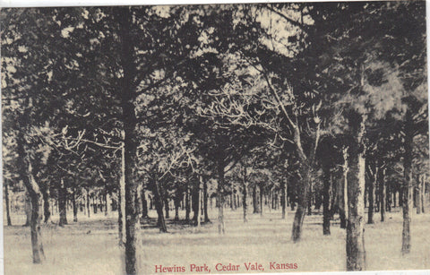 Hewins Park-Cedar Vale,Kansas 1914 - Cakcollectibles - 1