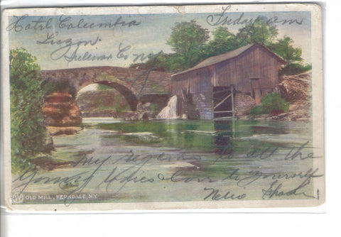 Old Mill-Ferndale,New York 1906 - Cakcollectibles - 1