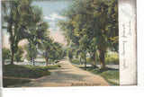 Street View-Northfield,Massachusetts 1906 - Cakcollectibles - 1
