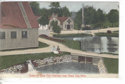 Scene at State Fish Hatchery near Reed City,Michigan 1909 - Cakcollectibles