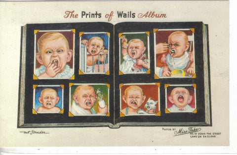 The Prints of Wails Album-Prince Charles - Cakcollectibles
