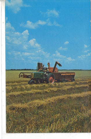 Combining A Field Of Grain 1965 Postcard Post Card - 1