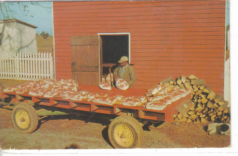 Country Hams Ready For The Smoke House Vintage Postcard Post Card - 1
