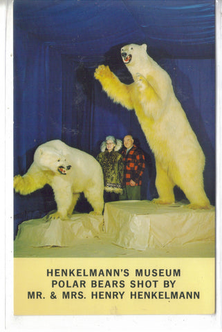 Polar Bears,Henkelmann's Museum-Woodruff,Wisconsin  - 1