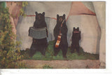 3 Musical Bears and Albino Deer,Henkelmann's Museum-Woodruff,Wis. Post Card - 1