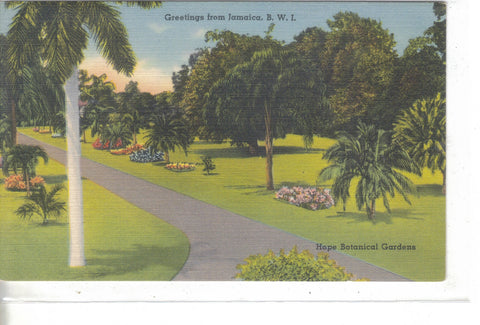 Hope Botanical Gardens-Greetings from Jamaica,B.W.I. - Cakcollectibles - 1
