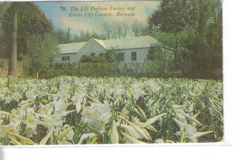 The Lili Perfume Factory and Easter Lily Gardens-Bermuda - Cakcollectibles - 1