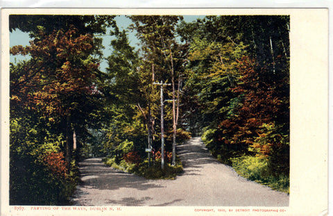Parting of The Ways-Dublin,New Hampshire UDB Post Card - 1