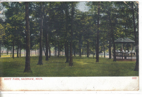 Hoyt Park-Saginaw,Michigan 1909 - Cakcollectibles - 1