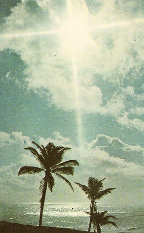 Moonbeams over San Juan,Puerto Rico Postcard